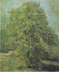Blühender Kastanienbaum